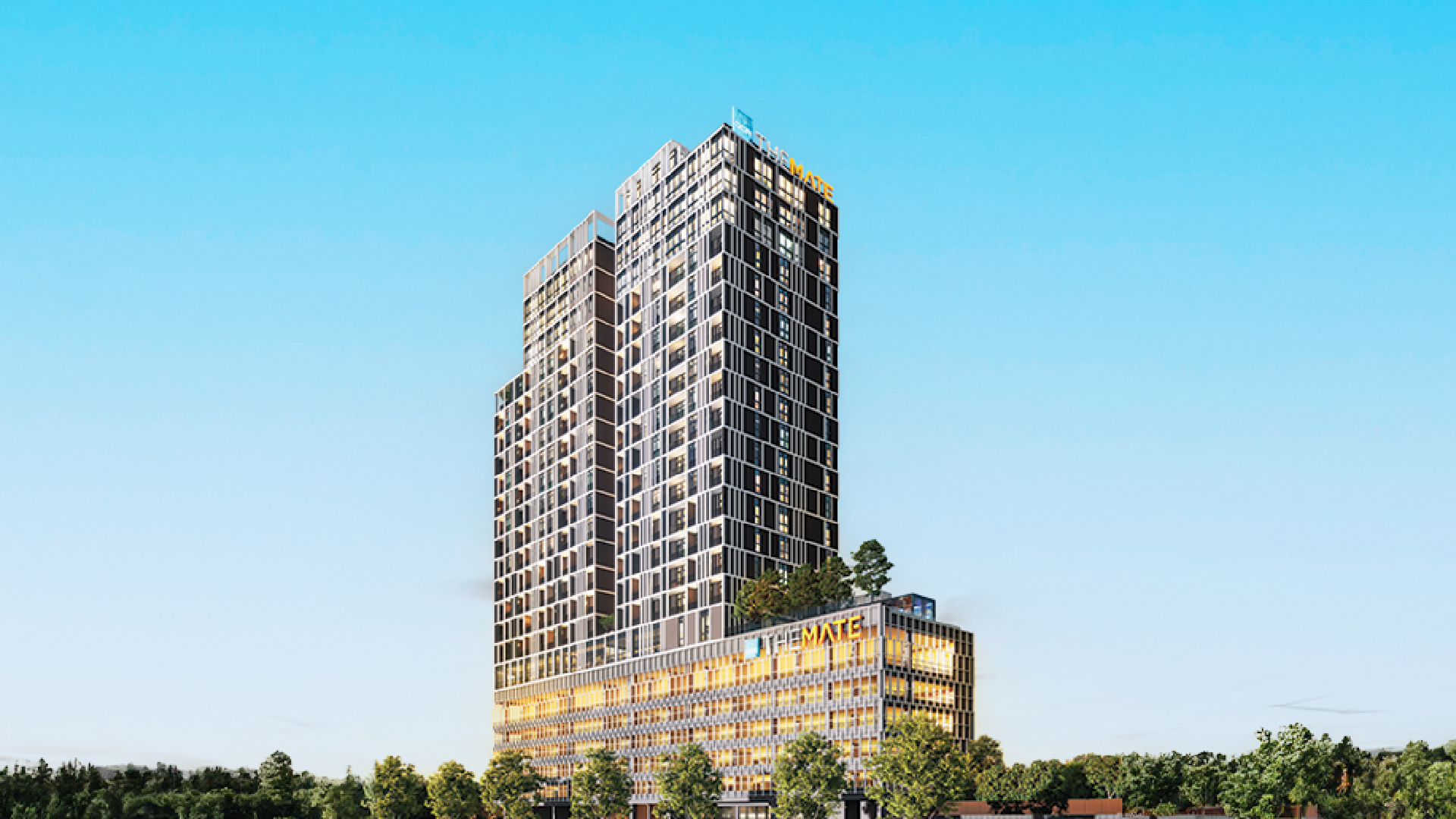 The_Mate_page_banner_1